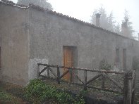 fugio Pirao-20101010 116